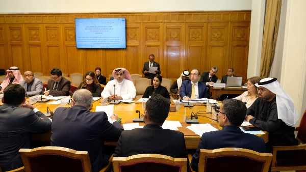 جانب من الاجتماع التشاوري