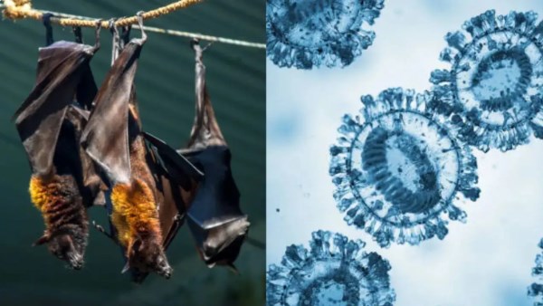 فيروس جديد يثير القلق في بنغلادش