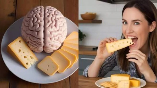 دراسة تفجر مفاجأة عن علاقة الجبن بصحة الدماغ