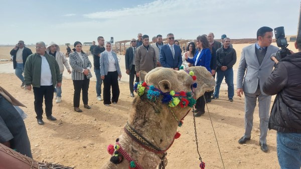 محافظ الجيزة ورئيس شركة تطوير الأهرامات