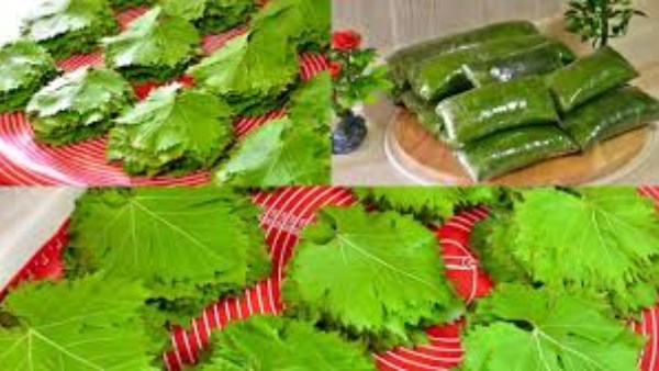 طرق تخزين وتفريز ورق العنب 