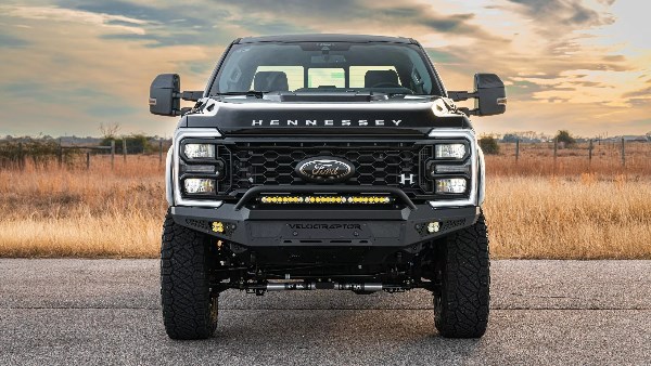 هينيسي فيلوسيرابتور