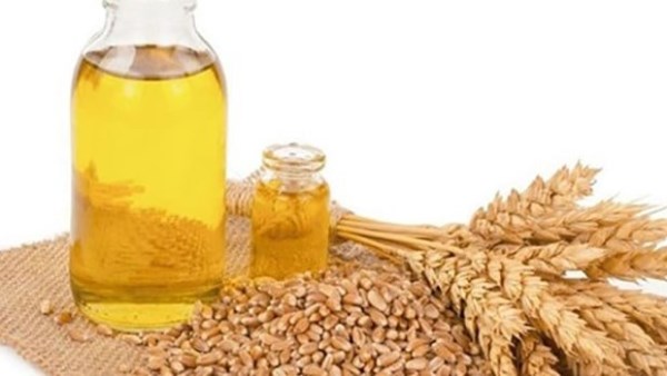 حمى بشرتك من الجفاف ..استخدمى زيت جنين القمح