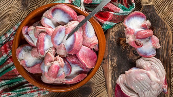 فوائد القوانص 