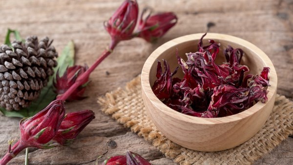 الكركديه البارد و الساخن |تعرف على فوائده و اضراره