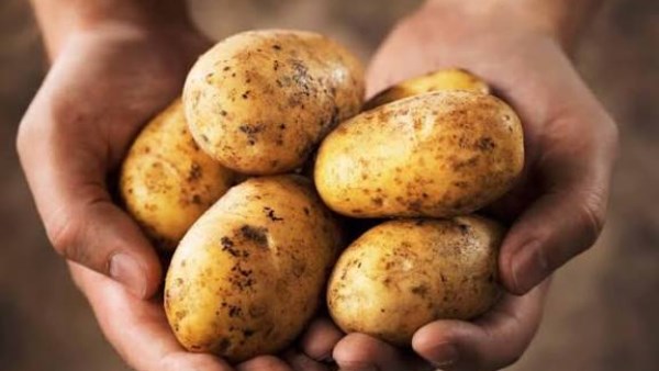 أنواع البطاطس وطريقة اختيارها وفقًا لطريقة الطهي