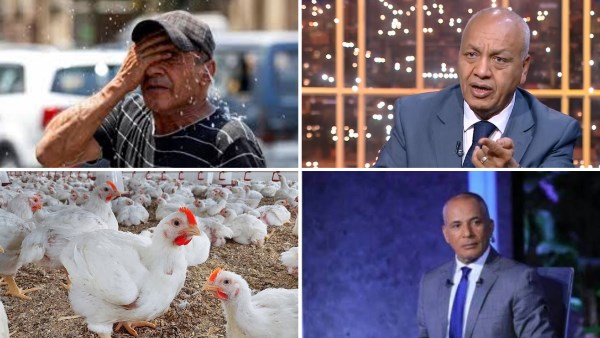 أخبار التوك شو