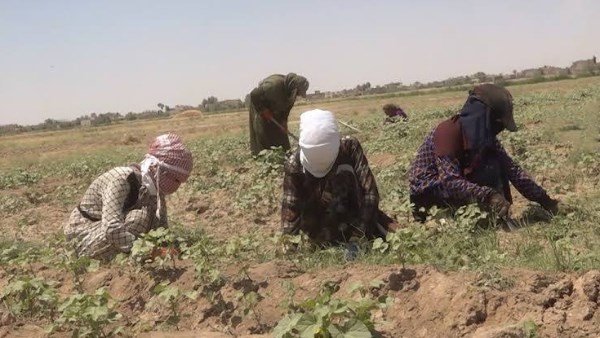 الأعمال الشاقة