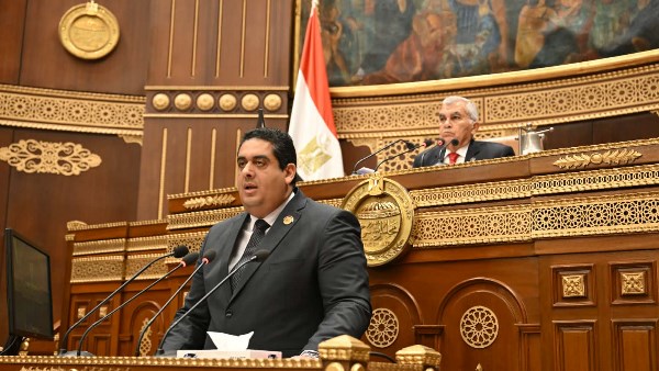  النائب وليد التمامي