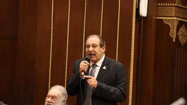 النائب حسام الخولي