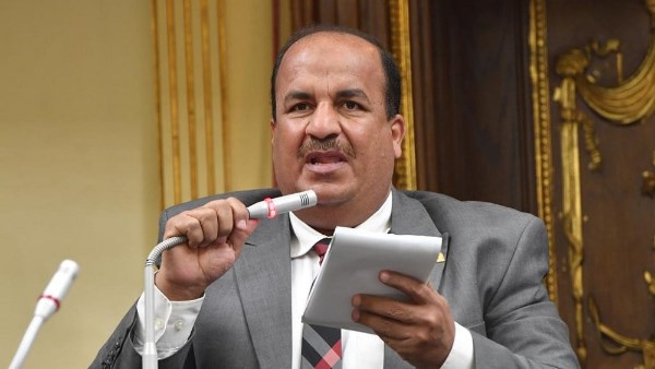 الدكتور محمد عبد الحميد، عضو مجلس النواب