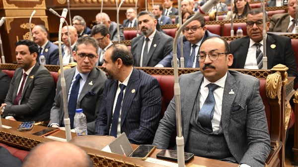 النائب عبد العاطي أحمد