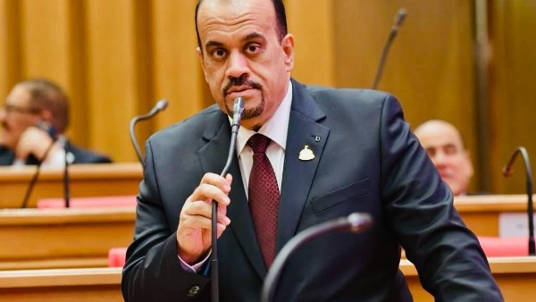 إيهاب إمام، عضو مجلس النواب 