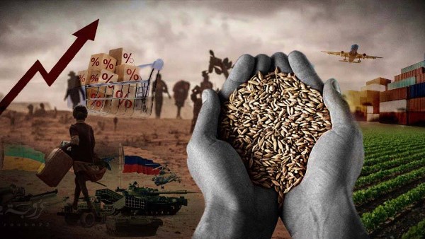 الأمن الغذائي