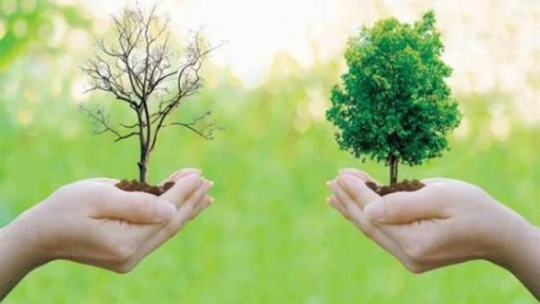 حماية البيئة