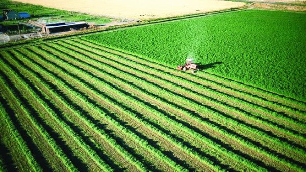  الأراضي الزراعية