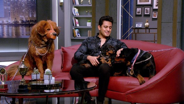 مدرب الكلاب