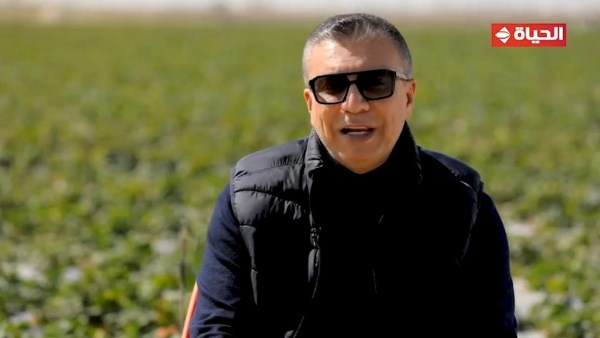 عمرو الليثي 