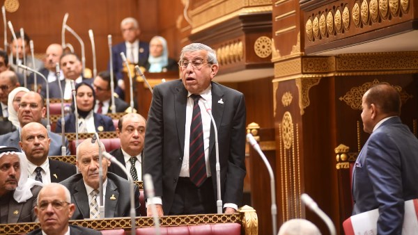  النائب علاء عبد النبي