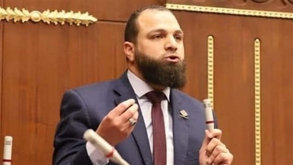  النائب محمود تركي عضو مجلس الشيوخ