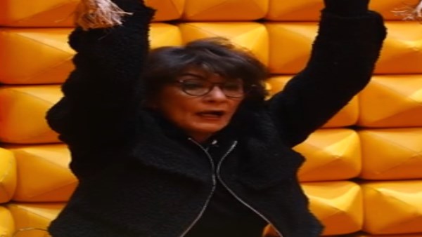 الفنانة سماح أنور