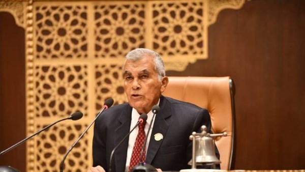 المستشار عصام الدين فريد، رئيس مجلس الشيوخ