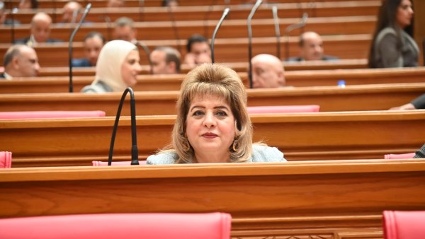  النائبة هناء أنيس رزق الله، عضو لجنة العلاقات الخارجية بمجلس النواب عن حزب مستقبل وطن