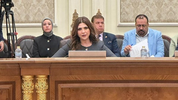  الدكتورة غادة البدوي، أمين سر لجنة التعليم والاتصالات وتكنولوجيا المعلومات بمجلس الشيوخ