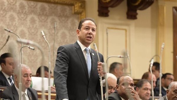 النائب حسن عمار، وكيل لجنة الشؤون الاقتصادية بمجلس النواب