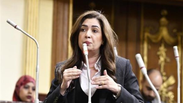 النائبة أميرة العادلي ، عضو مجلس النواب عن تنسيقية شباب الأحزاب والسياسيين