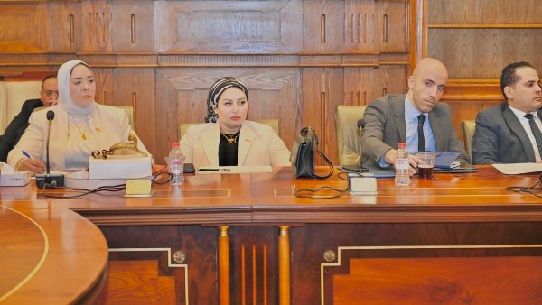 النائبة شيرين صبري، عضو لجنة الإسكان والإدارة المحلية والنقل بمجلس الشيوخ