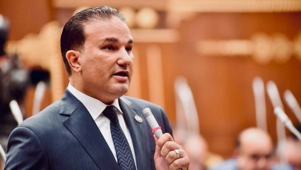  النائب تامر عبد الحميد، عضو مجلس الشيوخ