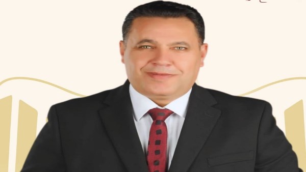  النائب عماد الغنيمي، عضو مجلس النواب