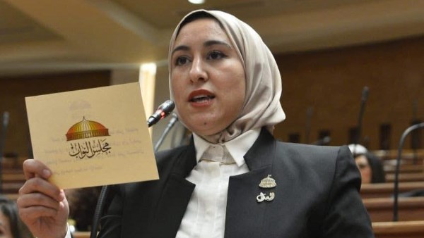  النائبة الدكتورة صافيناز طلعت