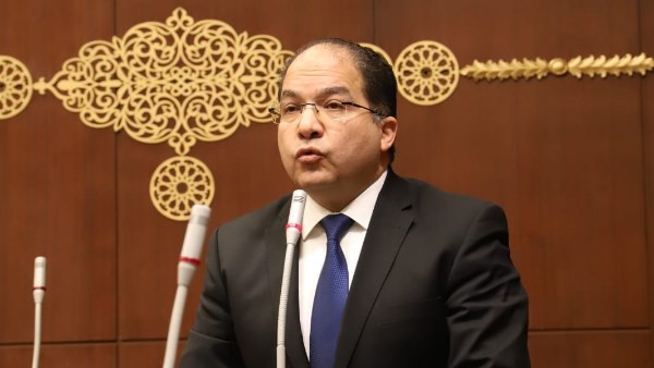 عادل اللمعي، عضو مجلس النواب 