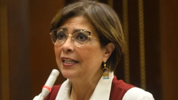 راندا مصطفى، رئيس لجنة التضامن الإجتماعي بمجلس النواب 