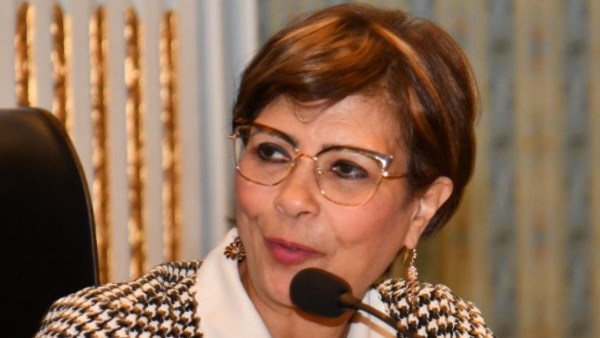  راندا مصطفى، رئيس لجنة التضامن بمجلس النواب