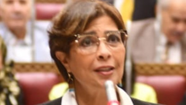 راندا مصطفى، رئيس لجنة التضامن الإجتماعي بمجلس النواب 