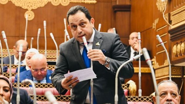 محمد الجندي، عضو مجلس الشيوخ 