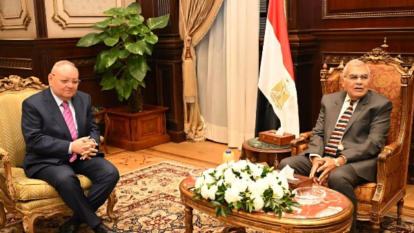 رئيس مجلس الشيوخ يستقبل رئيس مجلس الدولة