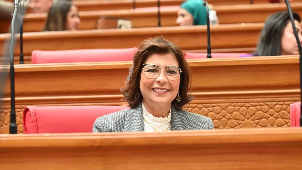 راندا مصطفى، رئيس لجنة التضامن بمجلس النواب 