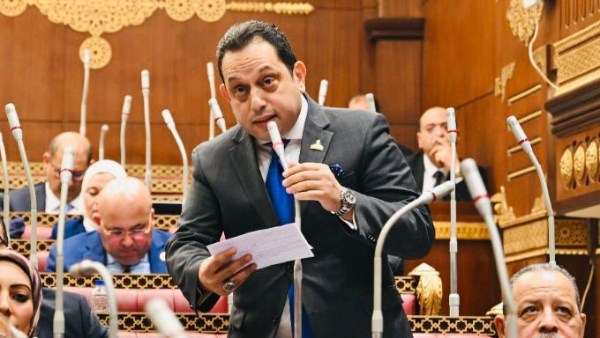 محمد الجندي، عضو مجلس الشيوخ 