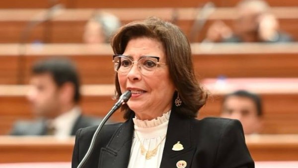 راندا مصطفى، رئيس لجنة التضامن بمجلس النواب  