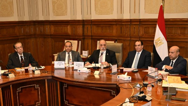 وكيل دستورية الشيوخ: قانون المجالس المحلية يواجه ولادة متعثرة