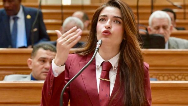 إيرين سعيد، عضو لجنة الصحة بمجلس النواب 
