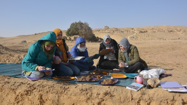 برنامج المدرسة الميدانية المُتقدمة في مجال الحفائر