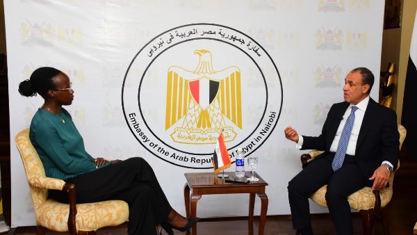 العلاقات المصرية الكينية