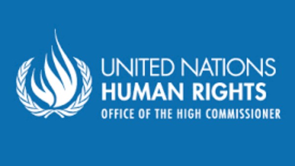 الأمم المتحدة لحقوق الإنسان، 