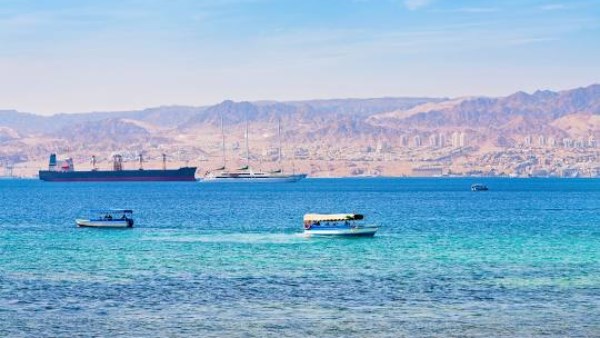 الشاحنات بالموانئ