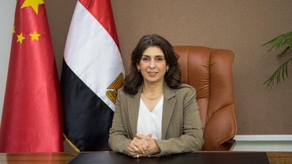 الدكتورة رشا الخولي 